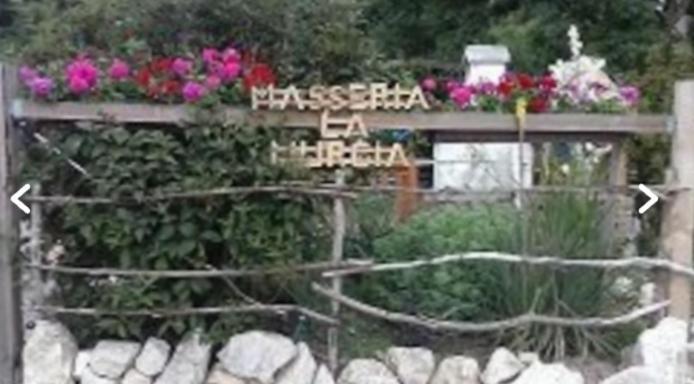 Wildcamp Resort Masseria La Murgia Unterkunft In Einem Wohnwagen Rimbach  Bagian luar foto